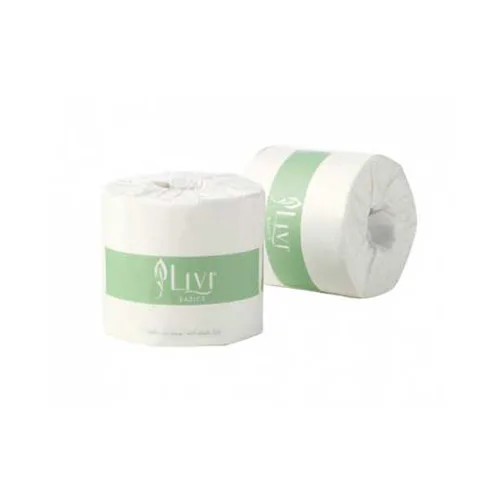 2ply 700 Sheets Toilet Tissue (7004)