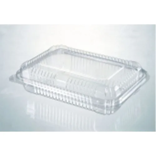 Self-Locking Container with Hinged Lid