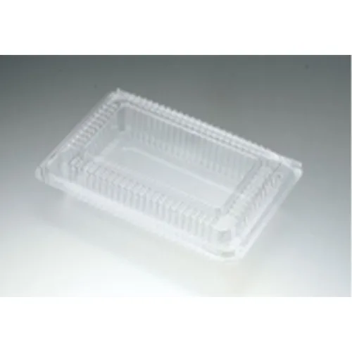 Self-Locking Container with Hinged Lid