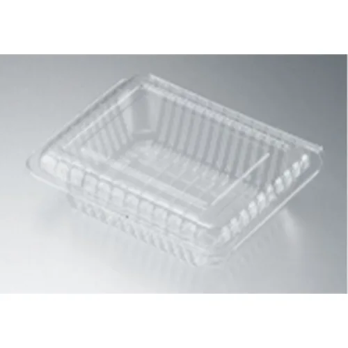 Non-Locking Container with Hinged Lid