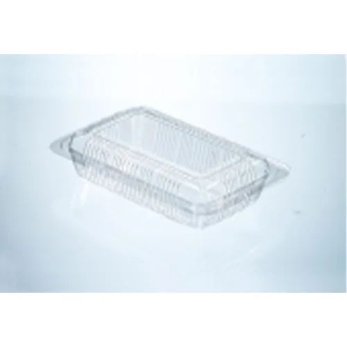 Non-Locking Container with Hinged Lid