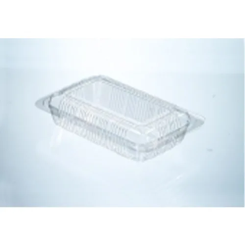 Non-Locking Container with Hinged Lid