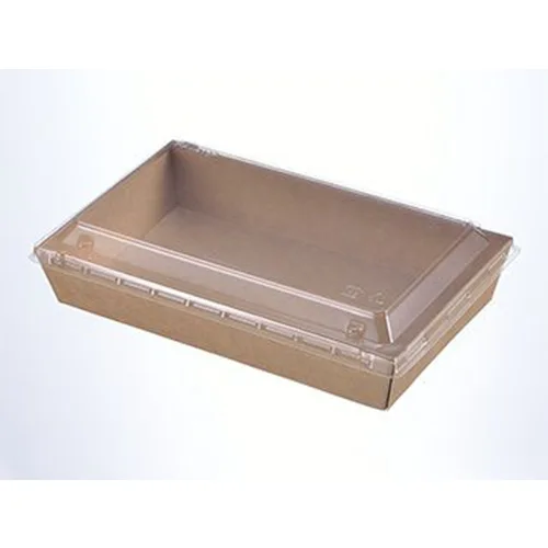 PCFA Paper Container