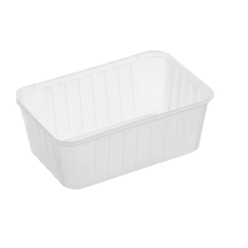 PP Rectangular Container