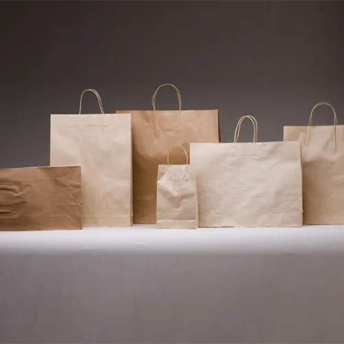 Paper Bag with Handle