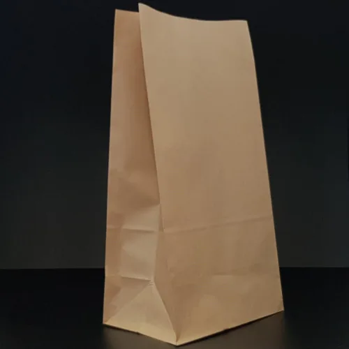 Paper Bag with Block Bottom (No Handle)