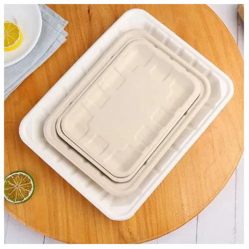 Bagasse Tray