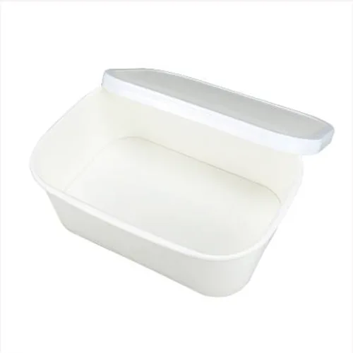 WP Rectangular Paper Container