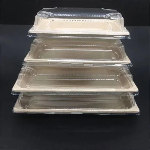 Bagasse/Fiber