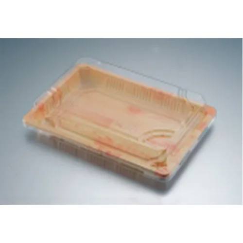 Sushi Container with Lock-in Lid