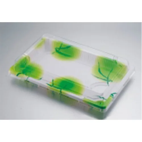 Sushi Container with Lock-in Lid