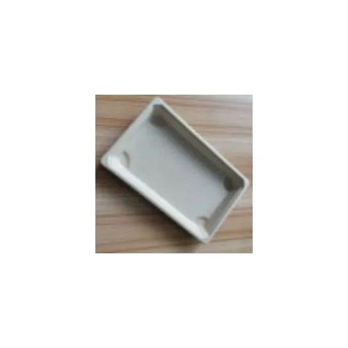 Sushi Tray + Lid